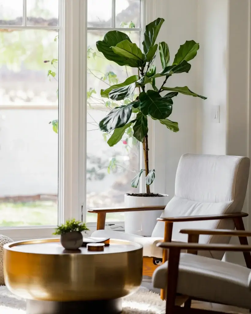 A potted plant sits by a large window next to a mid-century modern armchair and a round coffee table in a bright Connecticut living room.