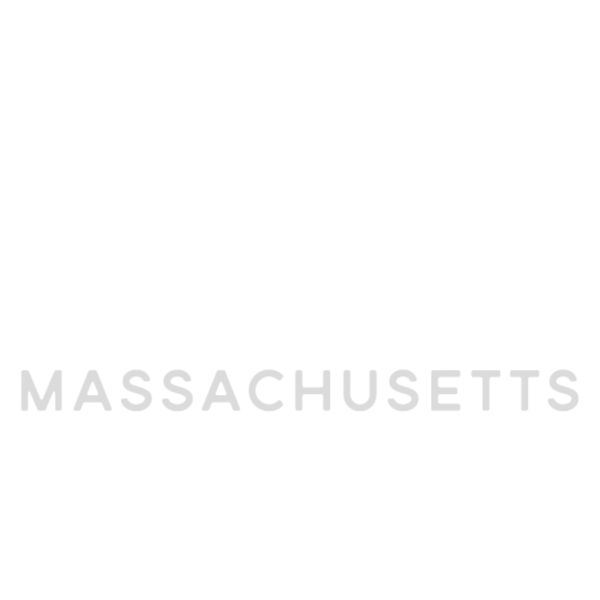 White background with a white medical cross, shield, and the word "MASSACHUSETTS"—all faint and semi-transparent—evoking a rediscovered psychiatry emblem.